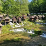 Adria Gyongy 01 150x150